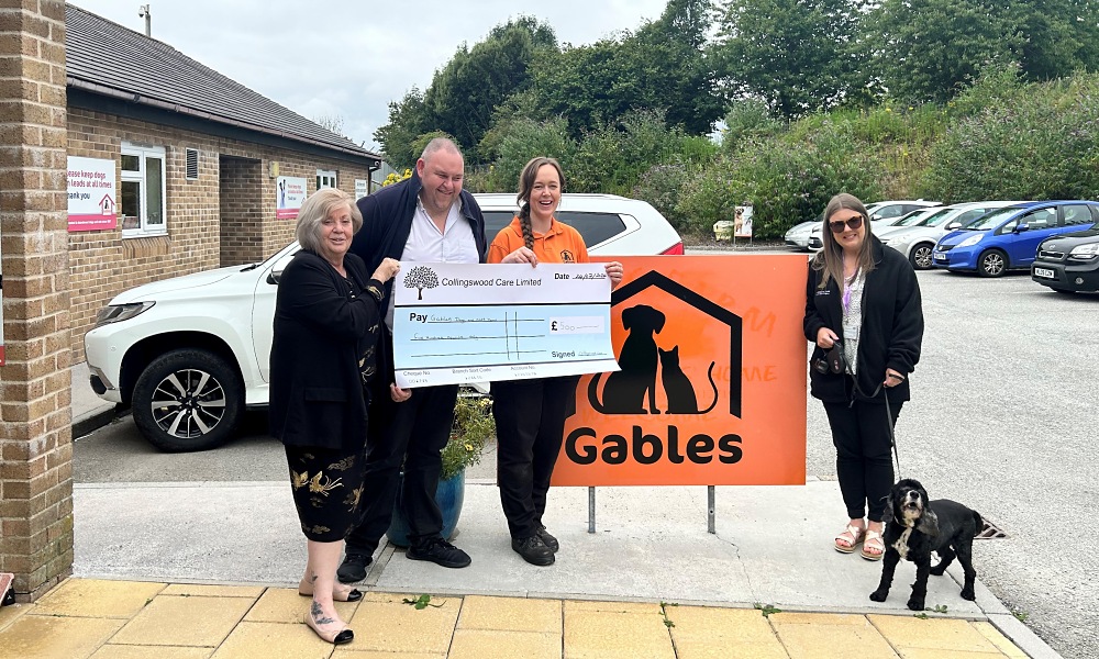 Gables Dogs and Cats